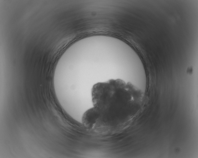 X0000115650070200912221340
