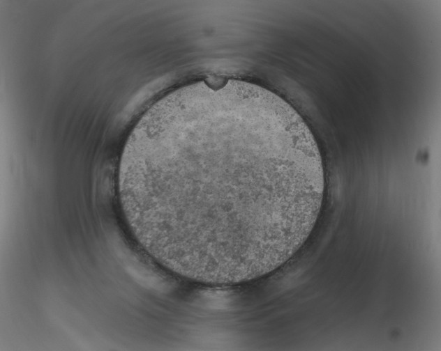 X0000115650071200912221340