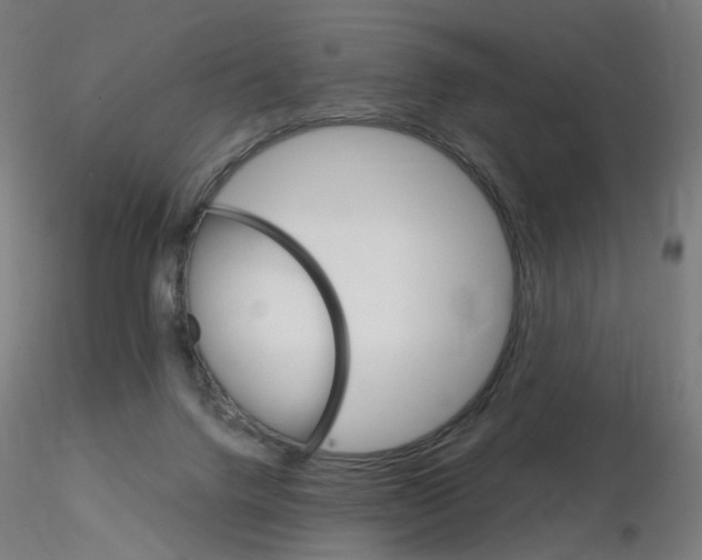 X0000115650072200912221340
