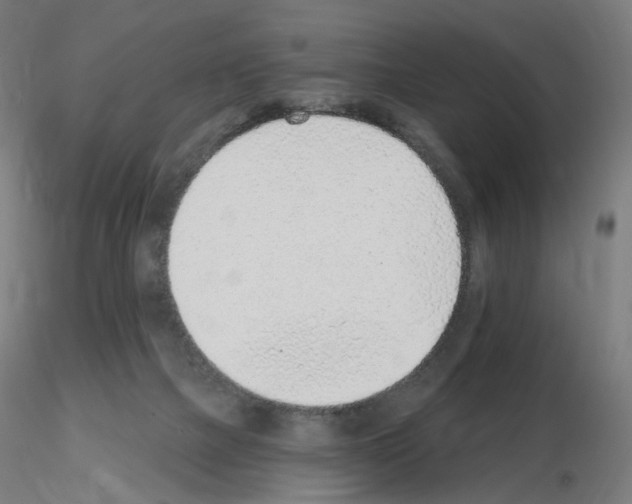 X0000115650073200912221340