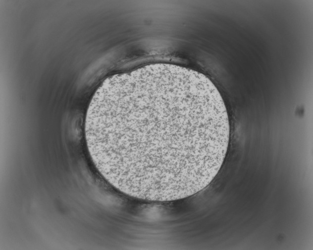 X0000115650074200912221340
