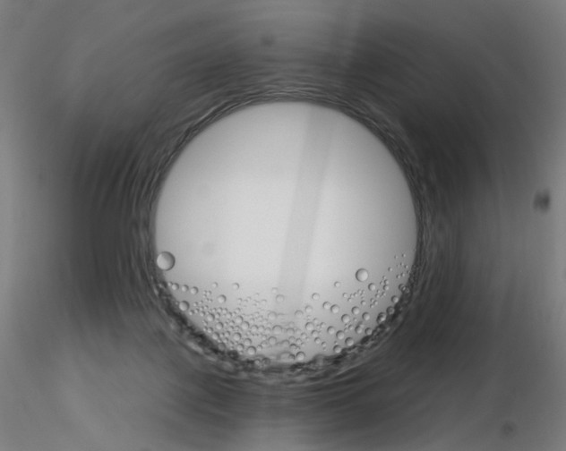 X0000115650075200912221340