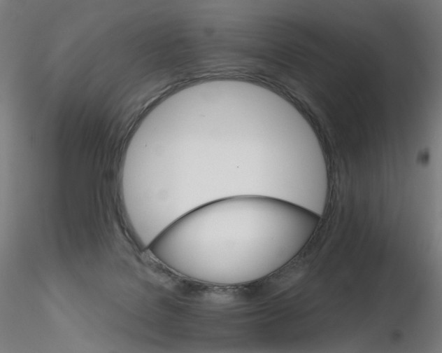 X0000115650076200912221340