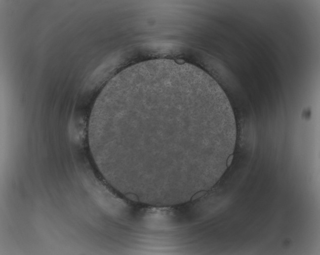 X0000115650077200912221340