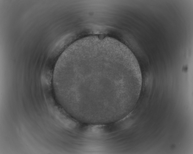 X0000115650078200912221340