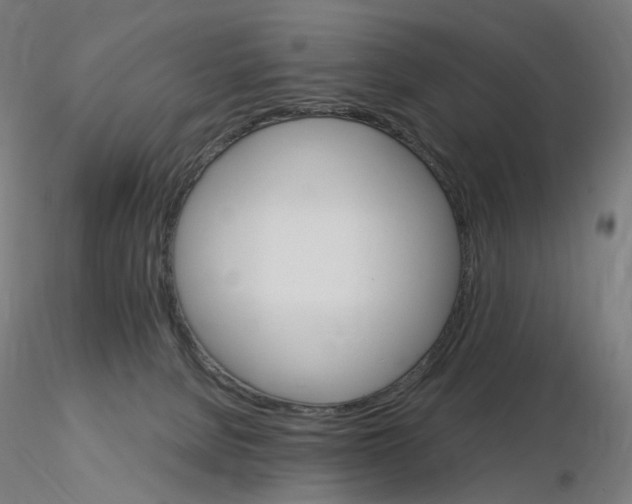 X0000115650080200912221340