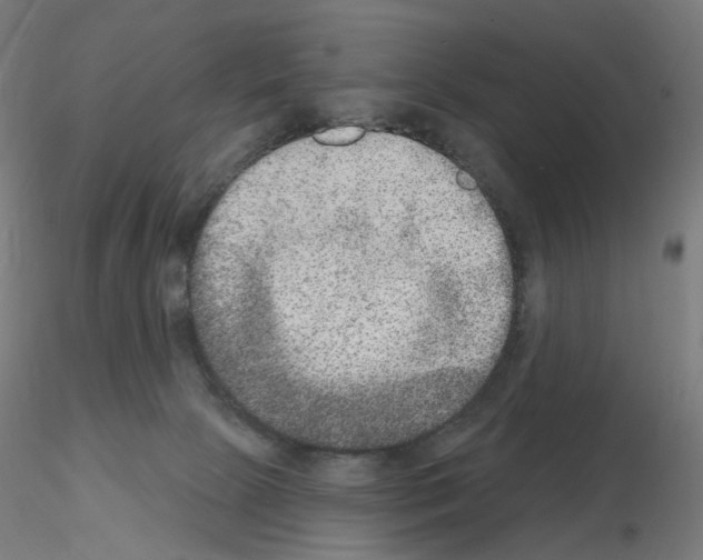 X0000115650081200912221340
