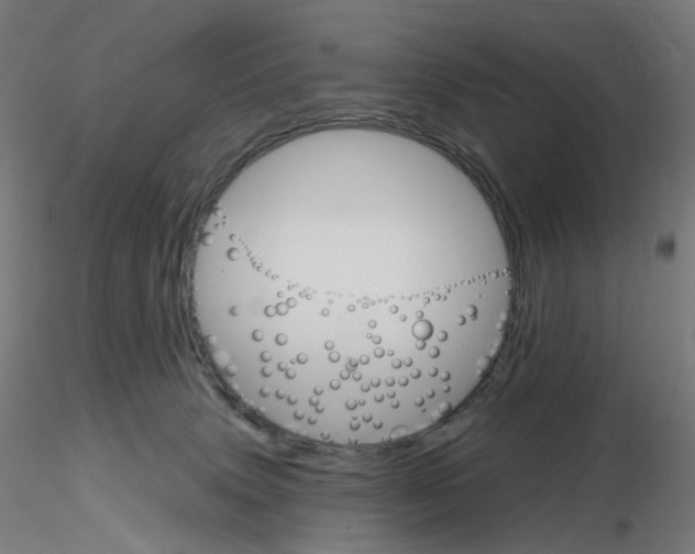 X0000115650083200912221340