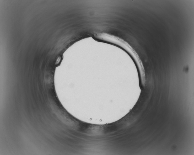 X0000115650084200912221340