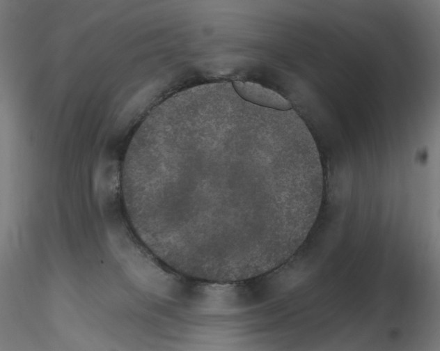 X0000115650085200912221340
