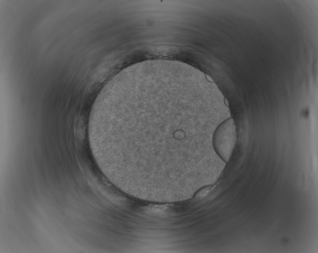 X0000115650086200912221340