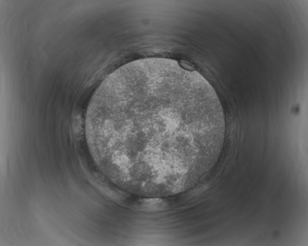 X0000115650087200912221340