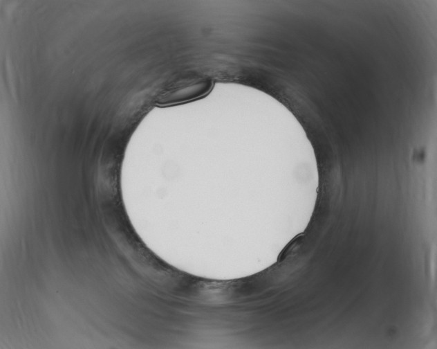 X0000115650088200912221340