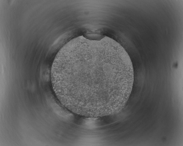 X0000115650090200912221340