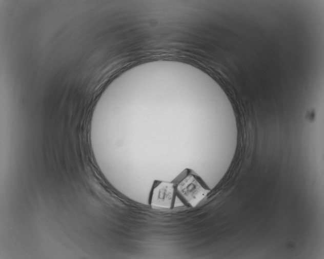 X0000115650092200912221340