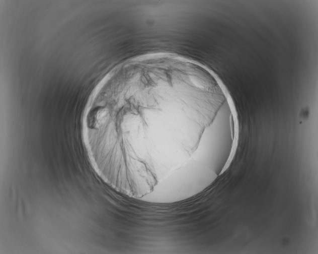 X0000115650093200912221340