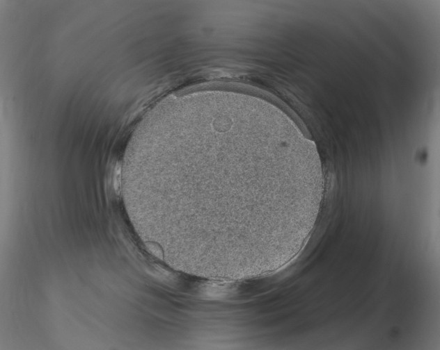 X0000115650094200912221340