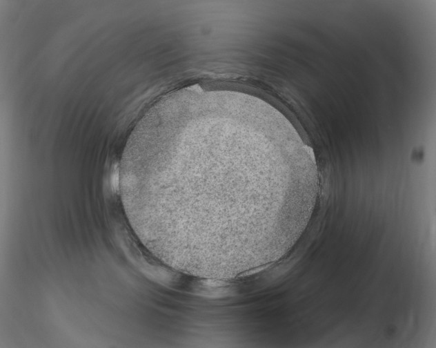 X0000115650095200912221340