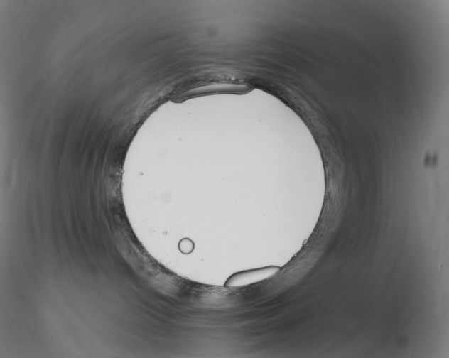 X0000115650096200912221340