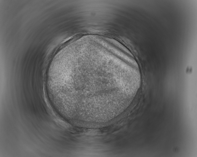 X0000115650097200912221339