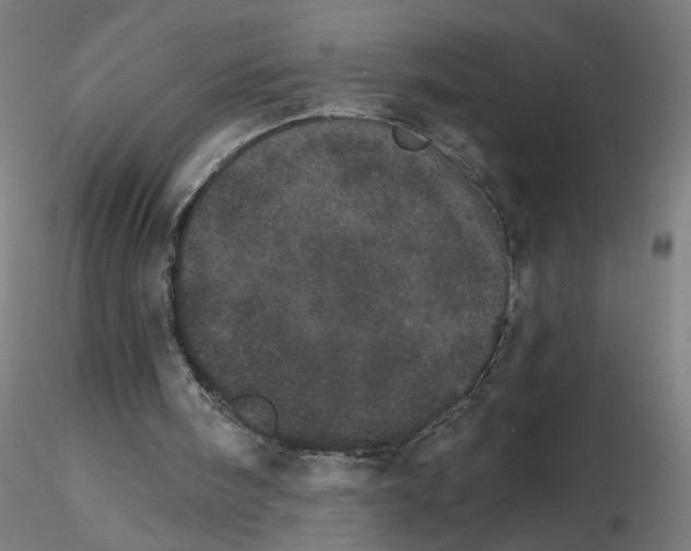 X0000115650098200912221339