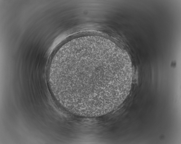 X0000115650099200912221339