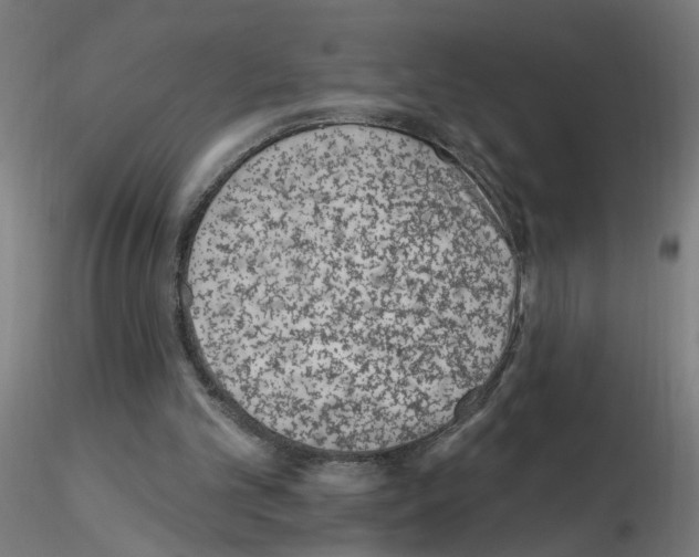 X0000115650101200912221339