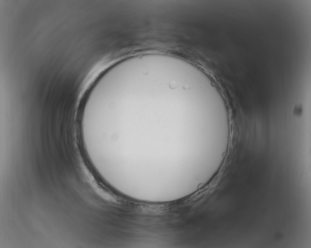 X0000115650102200912221339
