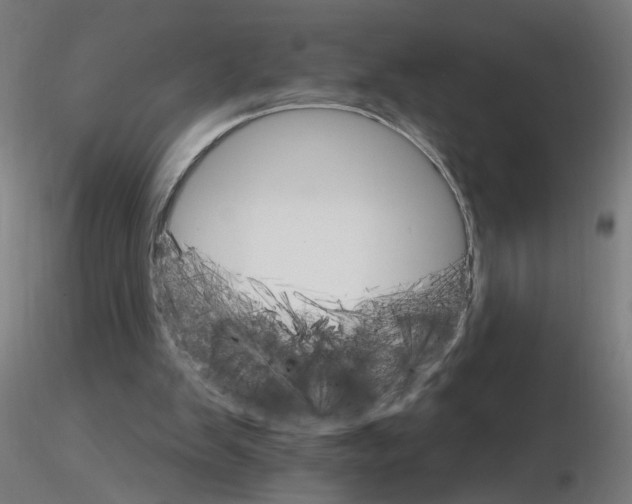 X0000115650103200912221339