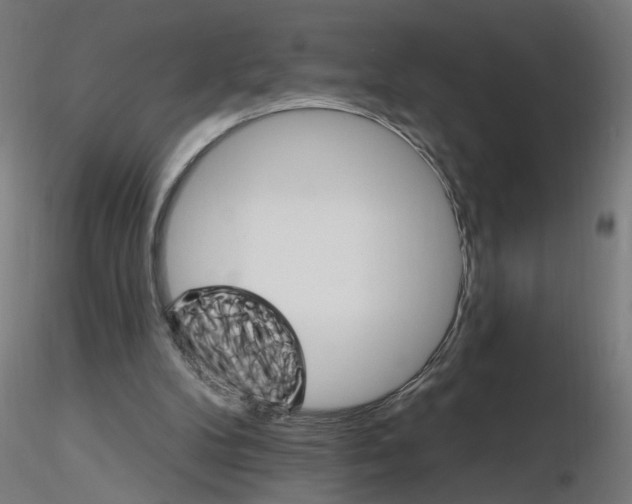 X0000115650104200912221339