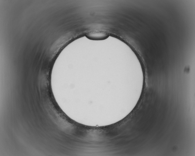 X0000115650105200912221339