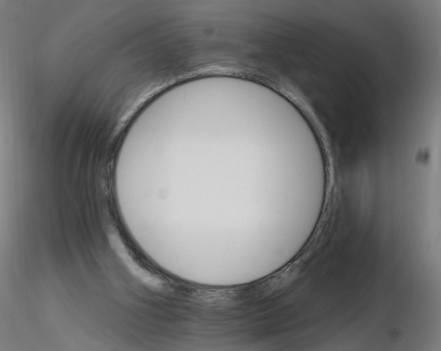 X0000115650106200912221339