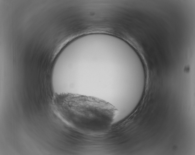 X0000115650107200912221339