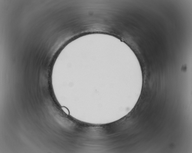 X0000115650108200912221339