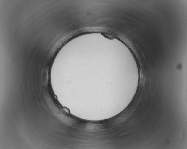 X0000115650109200912221339