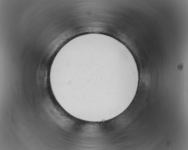 X0000115650110200912221339