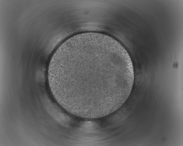 X0000115650111200912221339