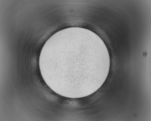 X0000115650113200912221339