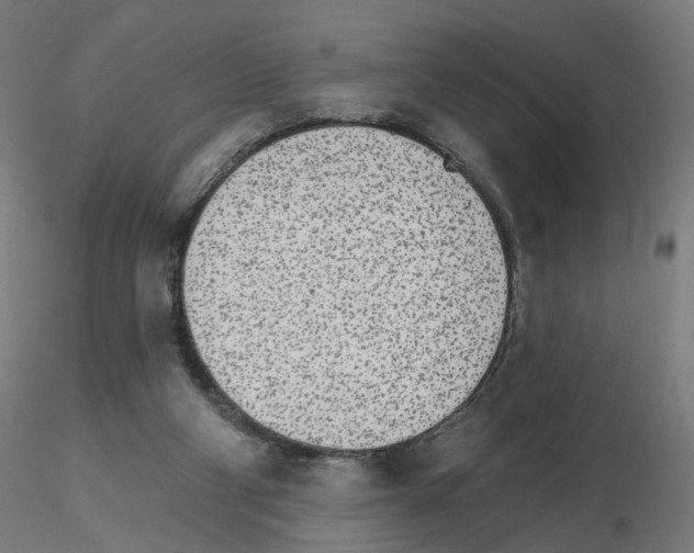 X0000115650114200912221339