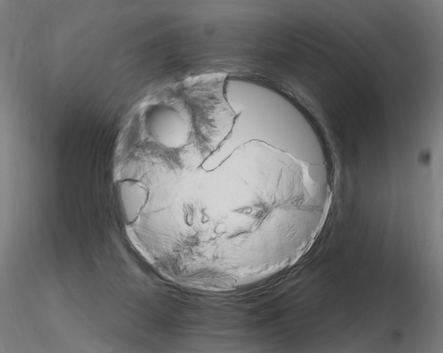 X0000115650115200912221339