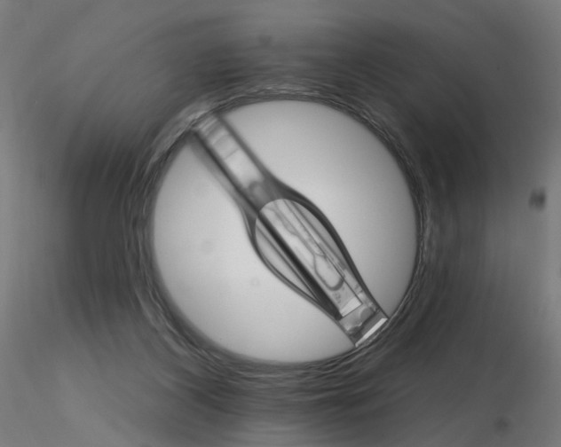 X0000115650116200912221339