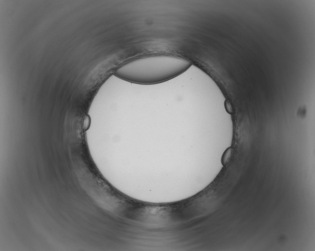 X0000115650117200912221339