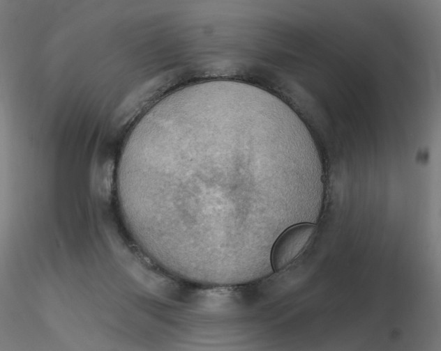 X0000115650118200912221339