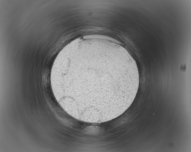 X0000115650119200912221339