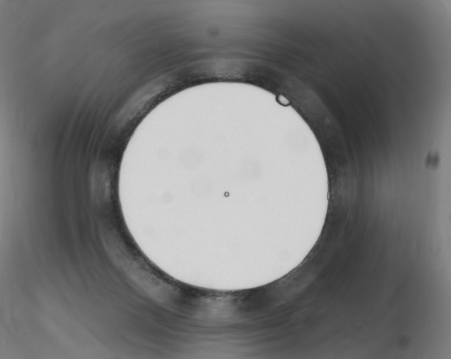 X0000115650120200912221339