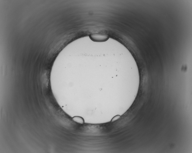 X0000115650121200912221339