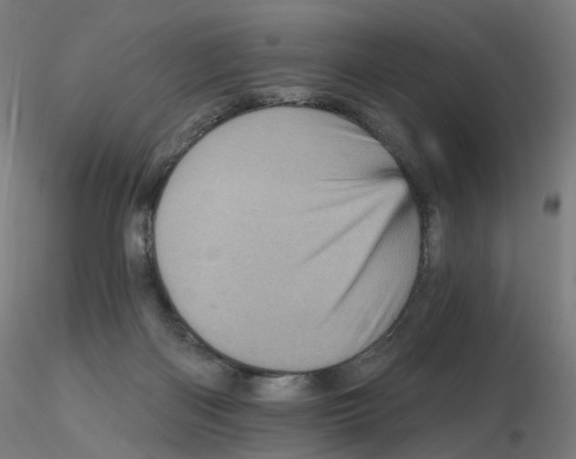 X0000115650122200912221339