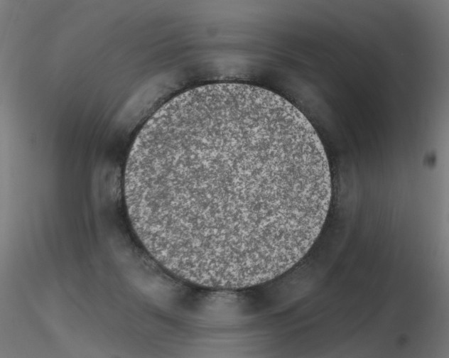 X0000115650123200912221339