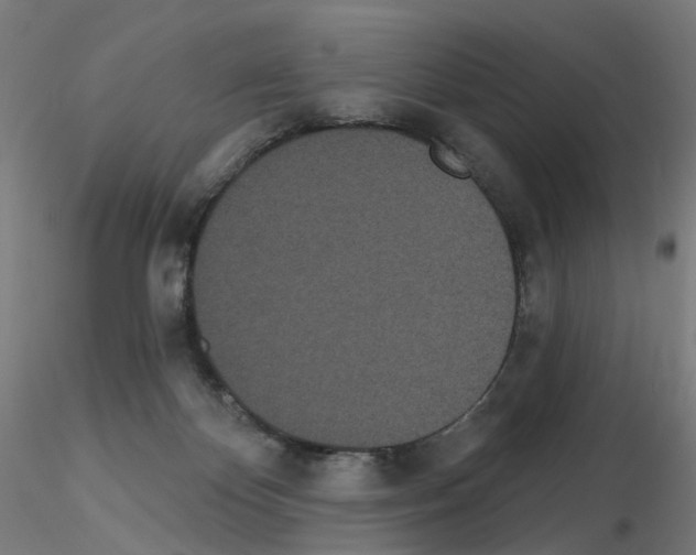X0000115650124200912221339