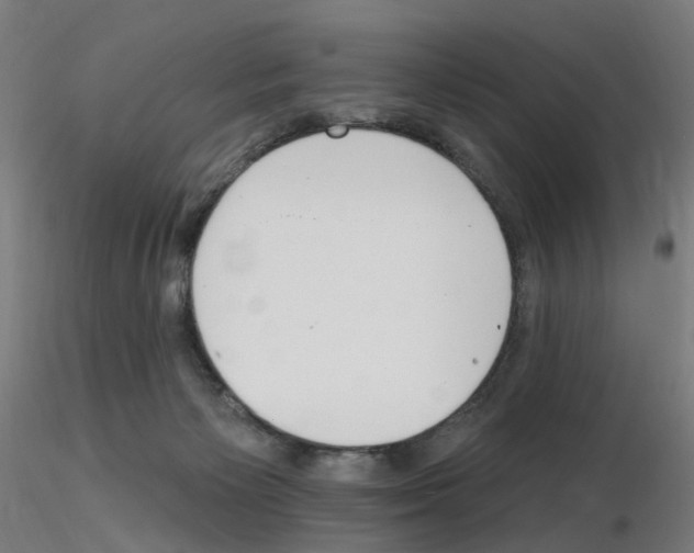 X0000115650125200912221339
